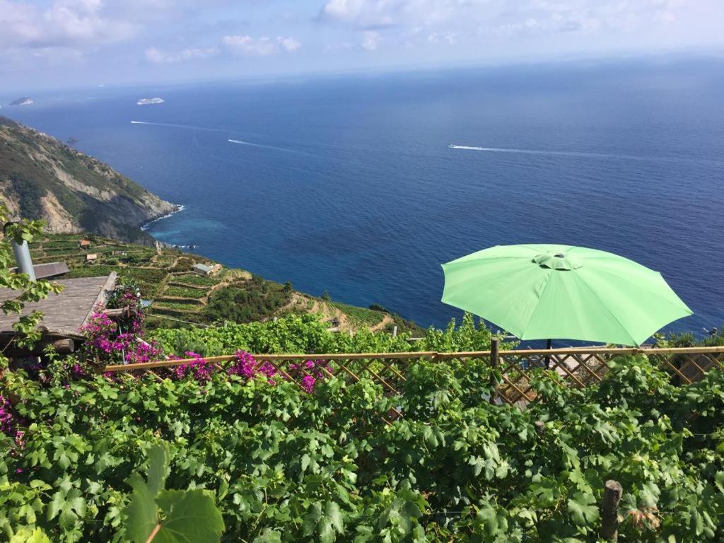 Refuge Uwabio Organic Vineyard Cinqueterre Villa Riomaggiore Kültér fotó