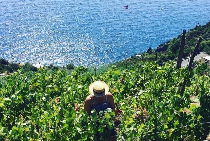 Refuge Uwabio Organic Vineyard Cinqueterre Villa Riomaggiore Kültér fotó