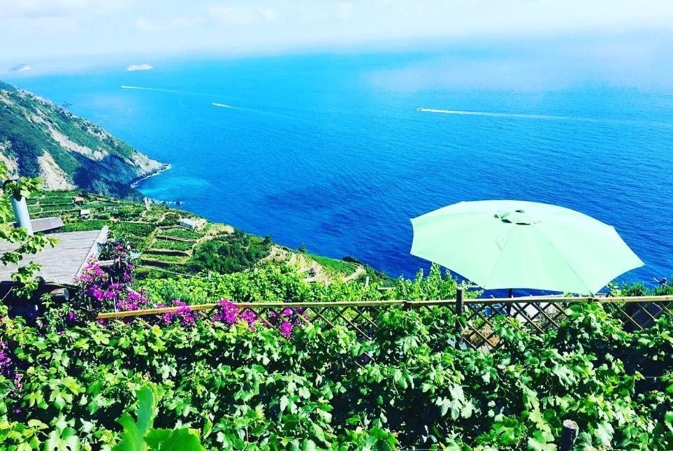 Refuge Uwabio Organic Vineyard Cinqueterre Villa Riomaggiore Kültér fotó