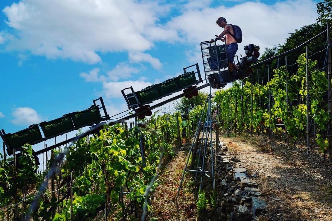 Refuge Uwabio Organic Vineyard Cinqueterre Villa Riomaggiore Kültér fotó
